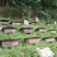 四川土蜂蜜保质保量量大从优欢迎咨询一次交易终身朋友