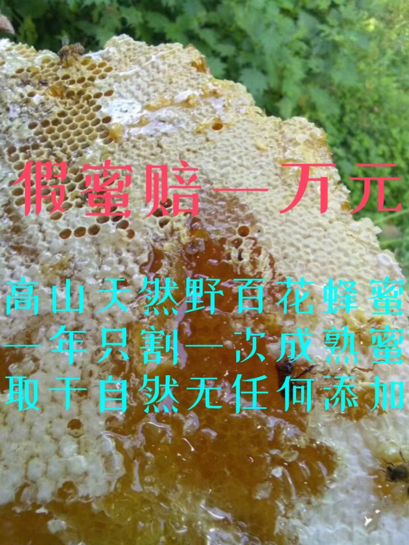 四川土蜂蜜保质保量量大从优欢迎咨询一次交易终身朋友