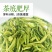 【喝好茶】2023新茶厂家批发正宗日照绿500g包邮尝鲜