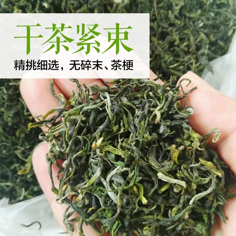 【喝好茶】2023新茶厂家批发正宗日照绿500g包邮尝鲜