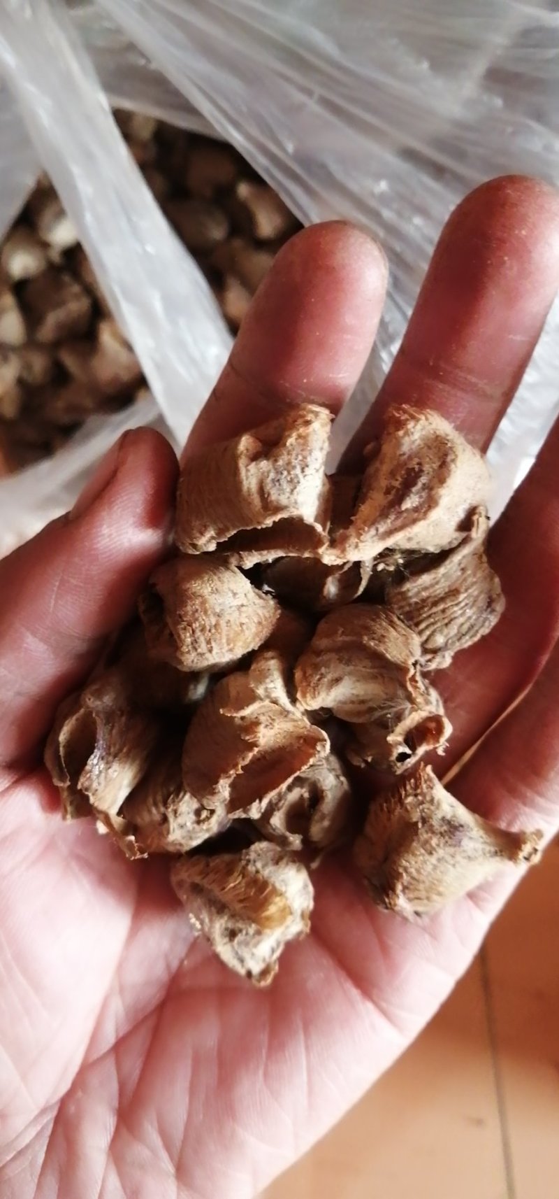 桑螵蛸山东产地直供大货质量保证价格合理