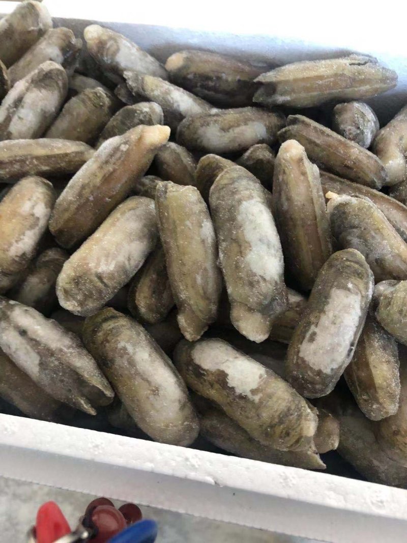 单冻缢蛏小人仙单冻小人仙