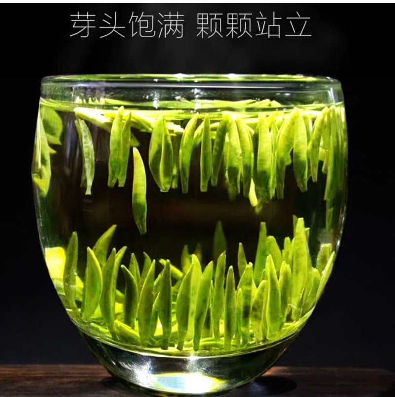 【喝好茶】2023厂家西湖龙井明前春茶新茶尝鲜500g