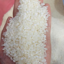 谷愿之秋鲜米上市2.5公斤装一袋，拎着走的分量，馈赠亲友