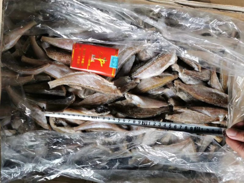 单冻三去雷鱼红尾鱼高品质