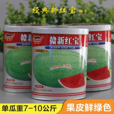 赣新红宝西瓜种子果型特大长椭圆抗病强抗裂绿皮大红瓤中熟品