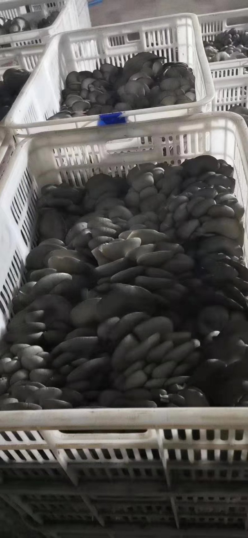 需要的联系，航天品质，地摊价格