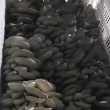 需要的联系，航天品质，地摊价格