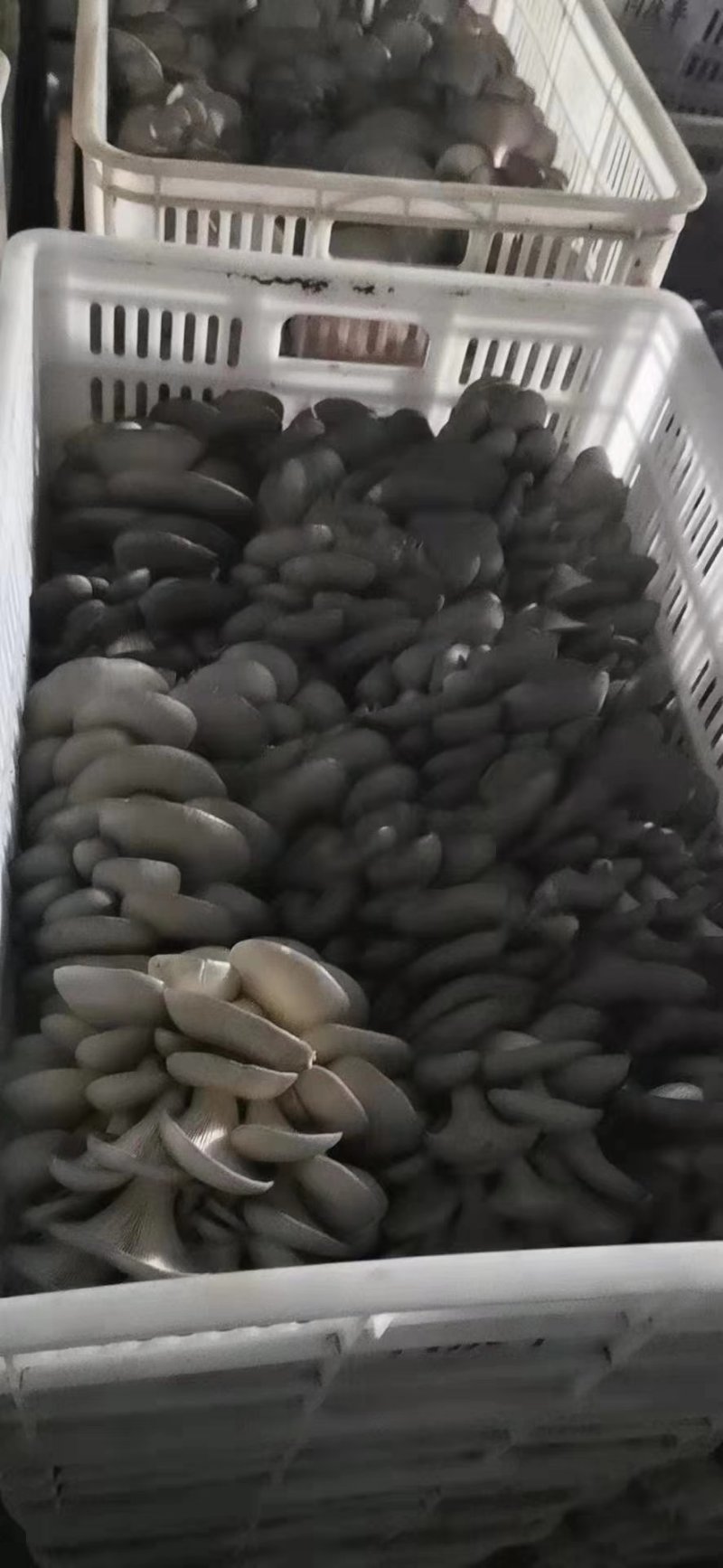 需要的联系，航天品质，地摊价格