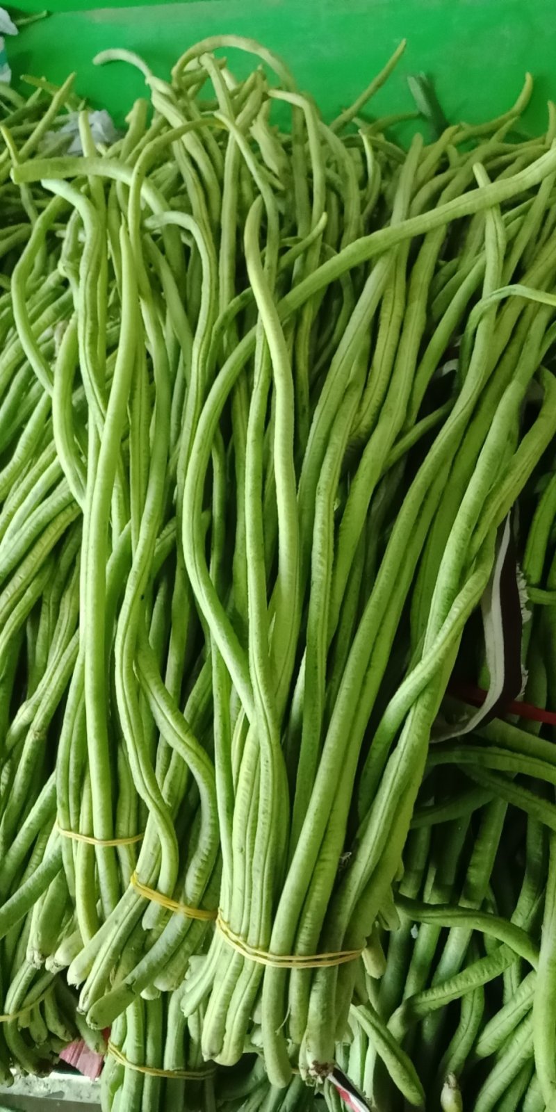 赣州蔬菜批发市场代销