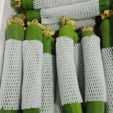 赣州蔬菜批发市场代销