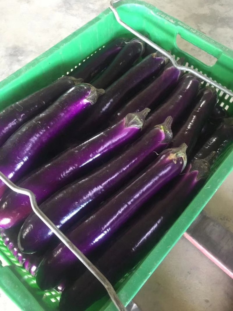 赣州蔬菜批发市场代销