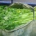 赣州蔬菜批发市场代销