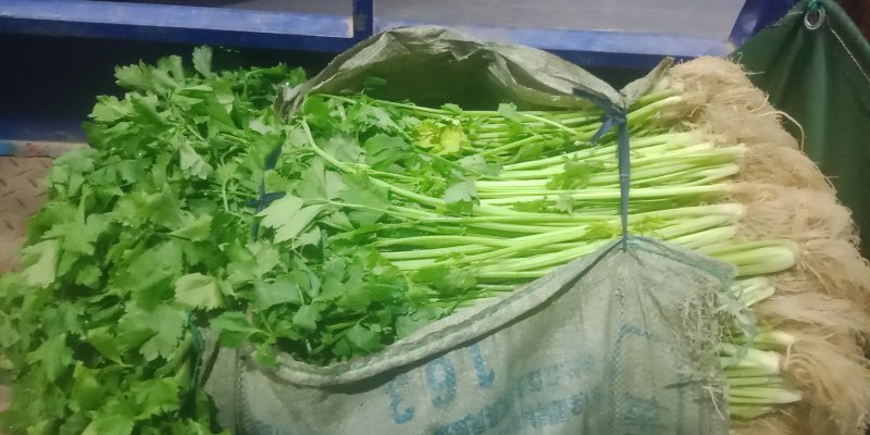 赣州蔬菜批发市场代销