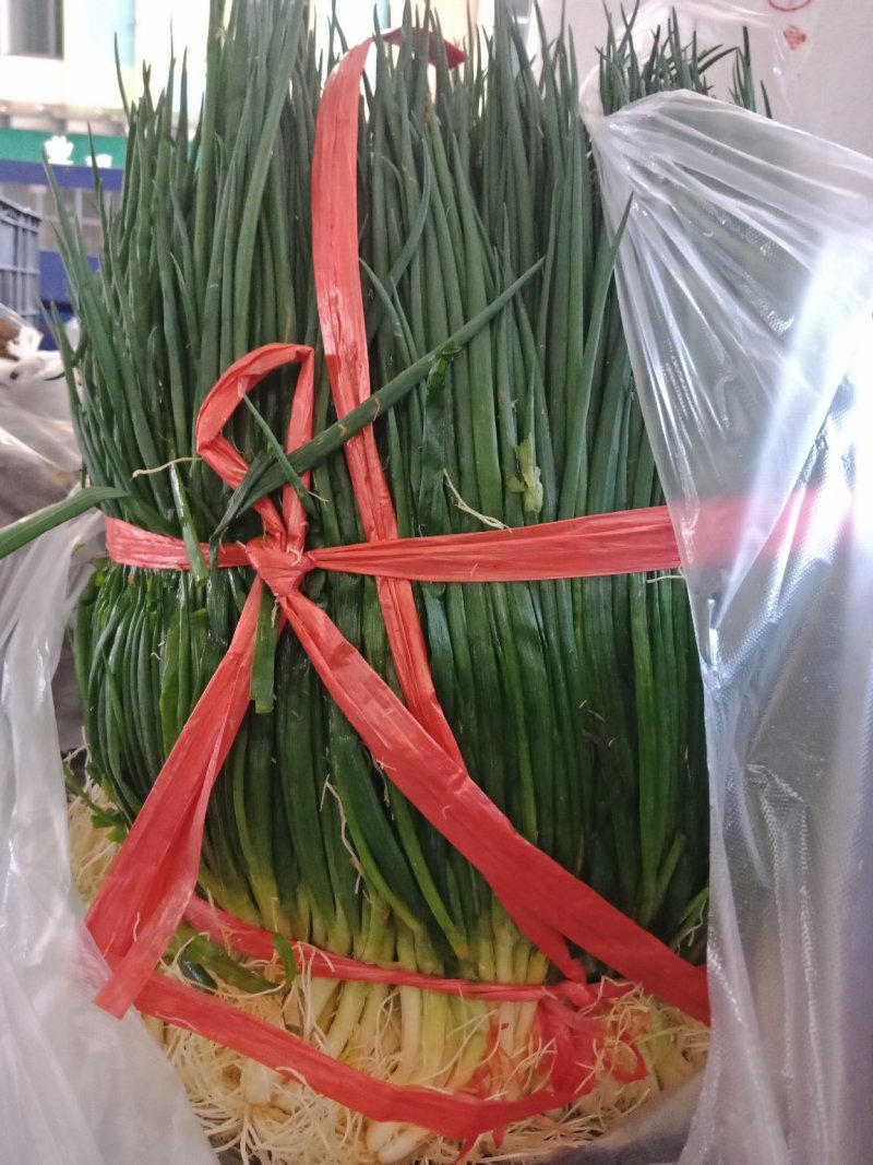 赣州蔬菜批发市场代销