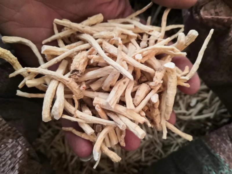 热卖款长白山特产一一一一一一一一花旗参大中小腿