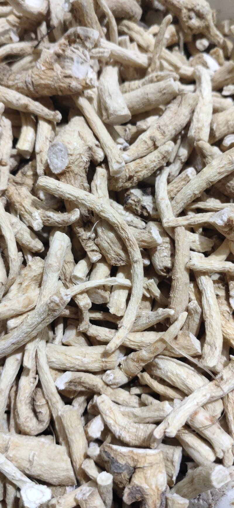 热卖款长白山特产一一一一一一一一花旗参大中小腿