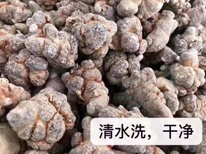 热卖款云南特产各种规格三七打的一一一一三七粉