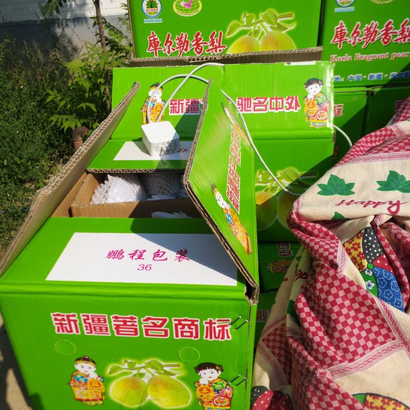 红香酥梨，品质保证，产地直销，合作共赢，视频看货