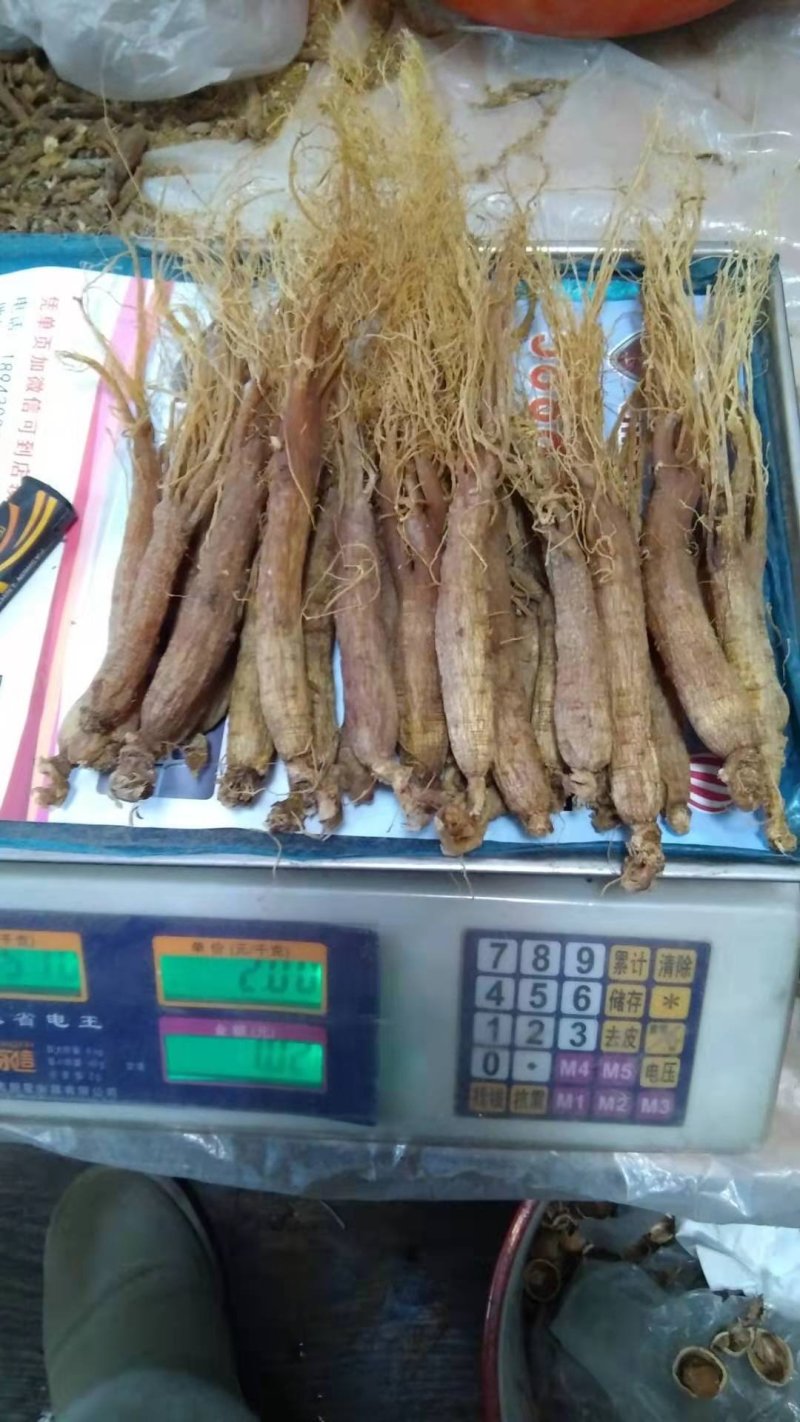 热卖款东北特产人参熟制品一一一一一红全须干品