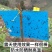粘虫板，黄板蓝板，双面粘虫板，20✘25诱虫板，果园