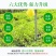 粘虫板，黄板蓝板，双面粘虫板，20✘25诱虫板，果园