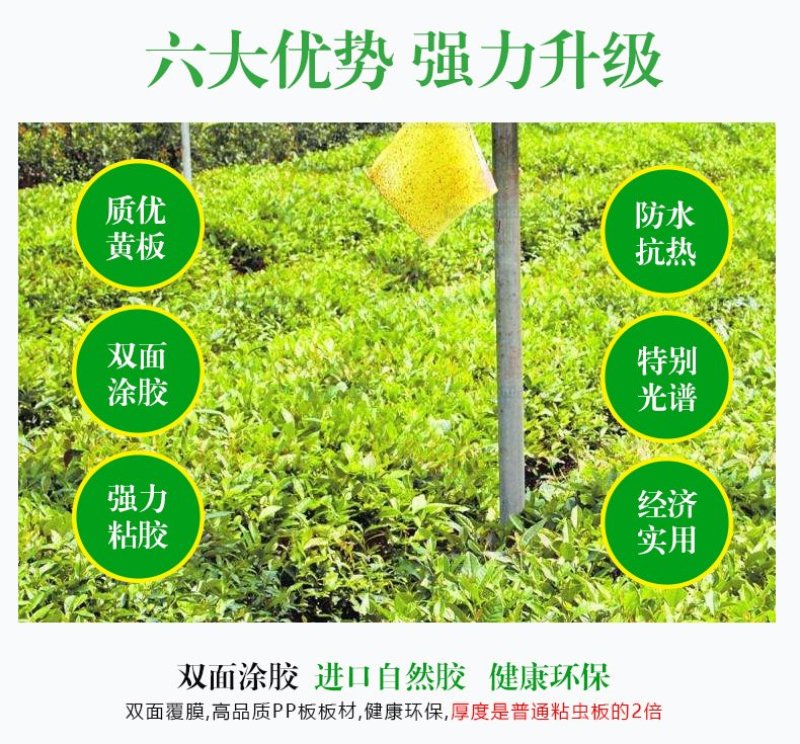粘虫板，黄板蓝板，双面粘虫板，20✘25诱虫板，果园