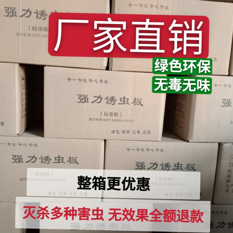 粘虫板，黄板蓝板，双面粘虫板，20✘25诱虫板，果园