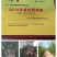 积壳苗围墙专用苗