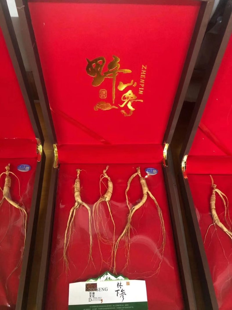 热卖款长白山特产一一一一一一一一林下参干品礼合