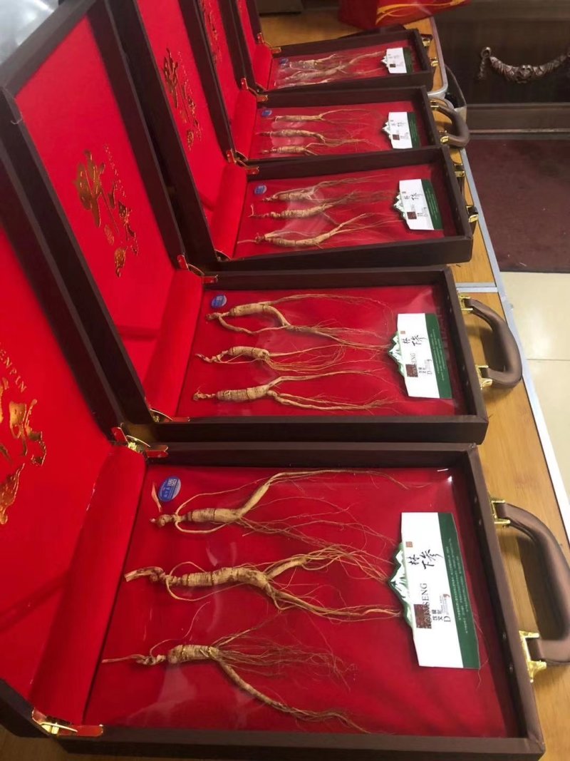 热卖款长白山特产一一一一一一一一林下参干品礼合