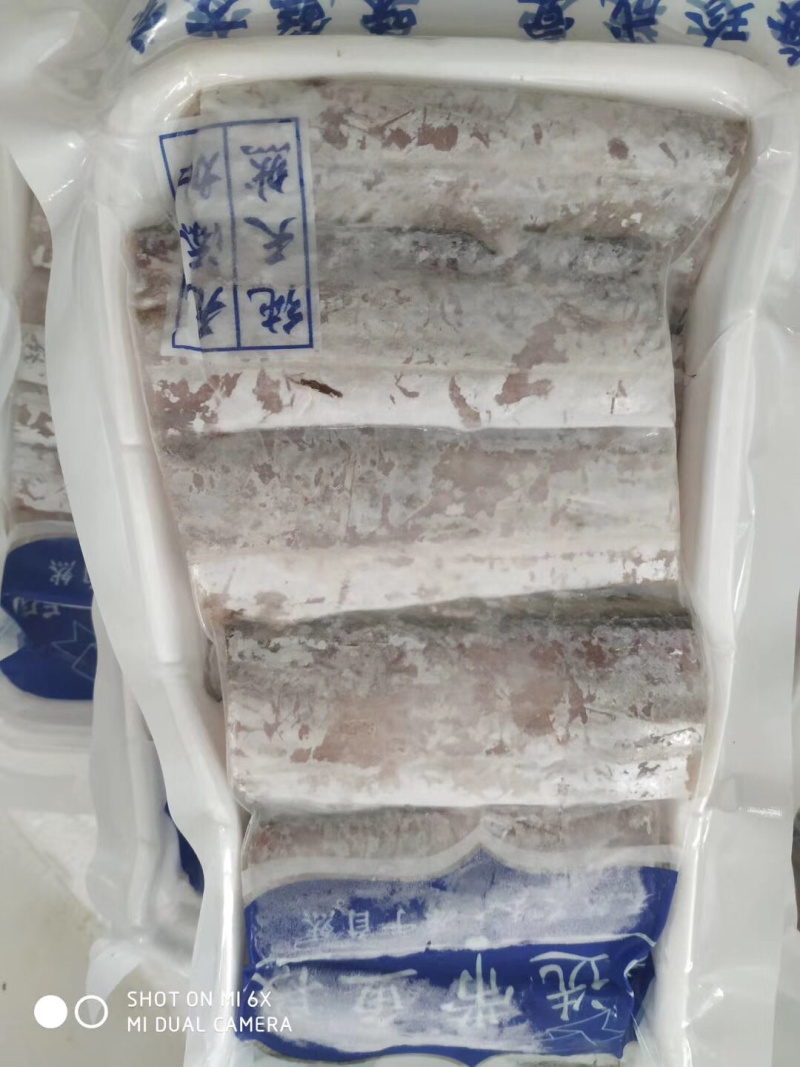 刀鱼段野生海捕精品刀鱼段