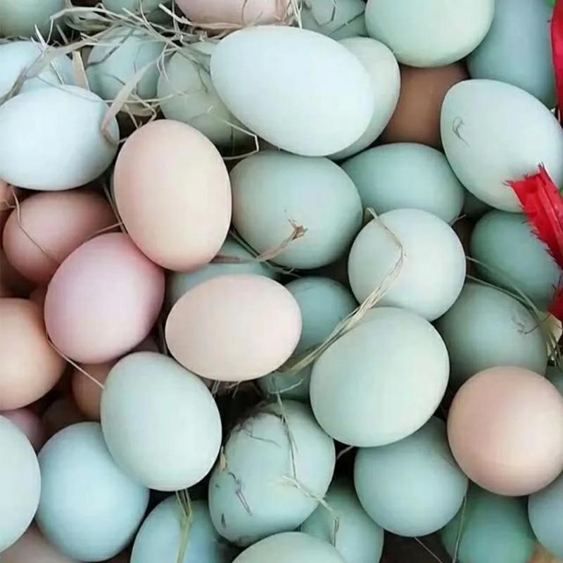 正宗农家生态散养乌鸡绿壳土鸡蛋.土鸡蛋中精品30枚包邮