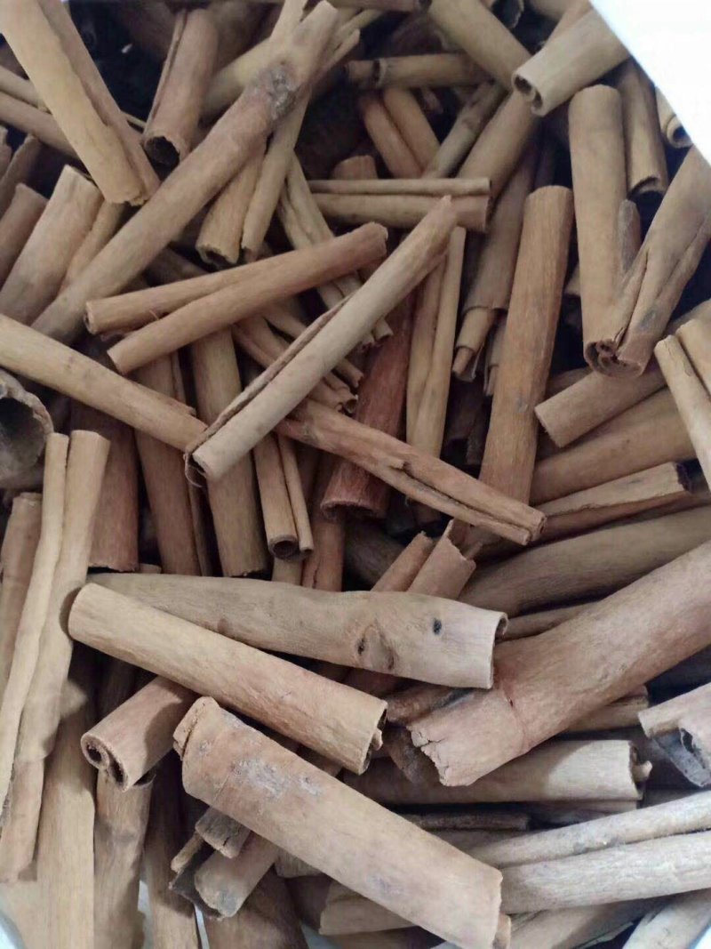 缅甸桂皮