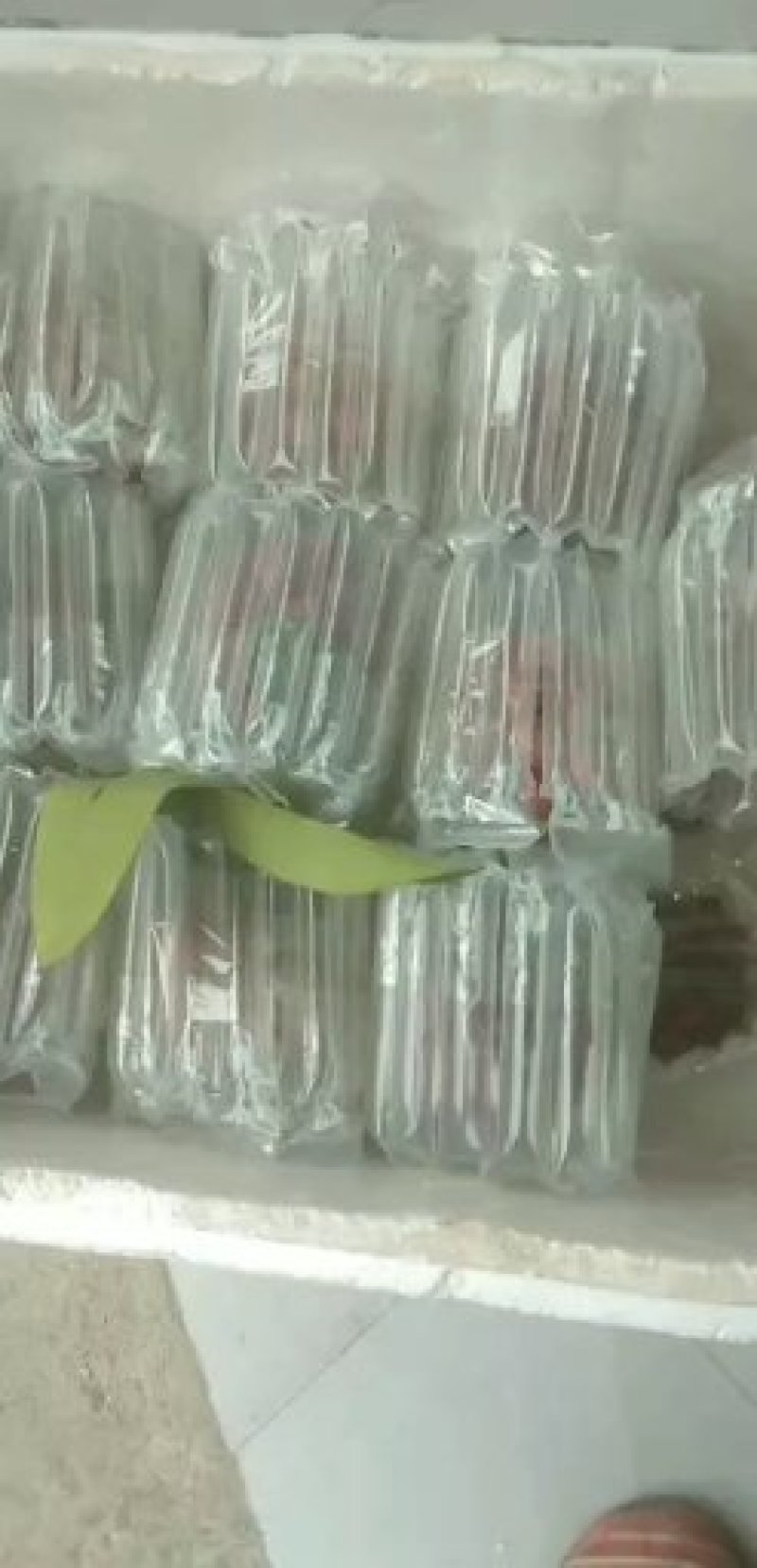 通道黑老虎果布福娜果一手货源农户自己卖多汁果肉清甜