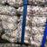 金乡大蒜原产地发货60斤亮袋包装品质保证欢迎来电