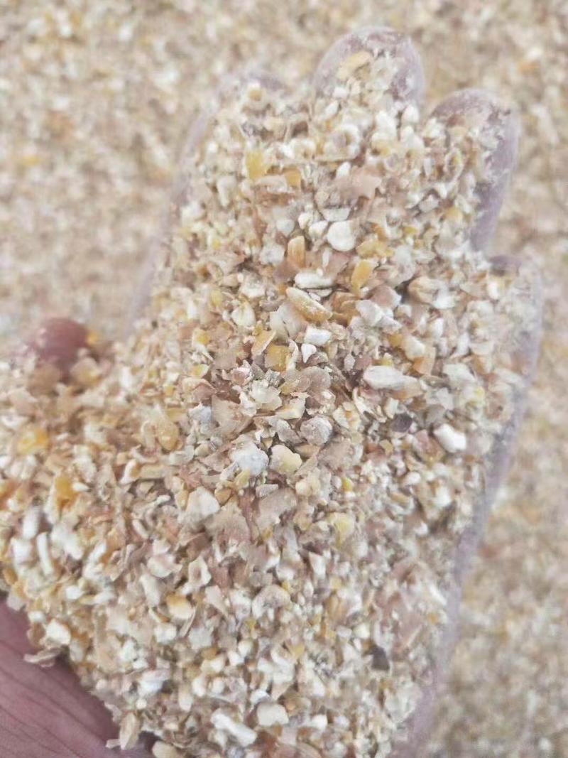 供应玉米皮质量保证无土无沙带粮食现货