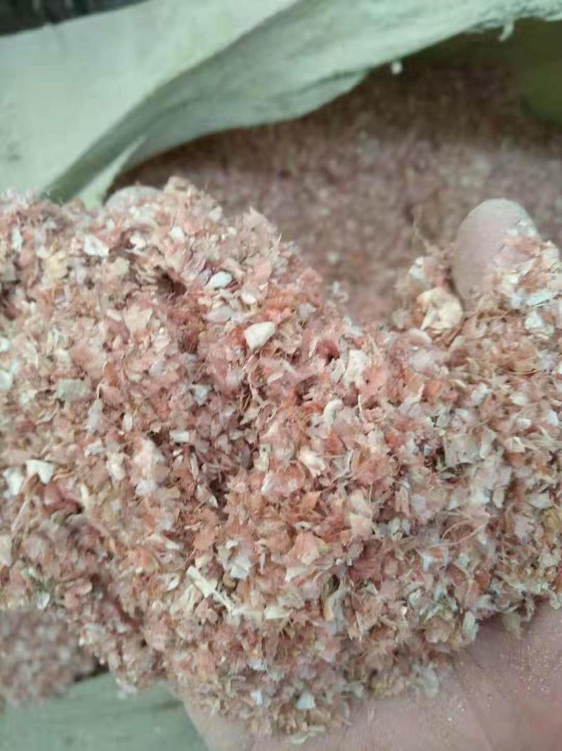 供应玉米皮质量保证无土无沙带粮食现货