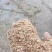 供应玉米白皮大片玉米皮喷浆玉米皮牛羊饲料饲料原