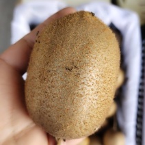 奇异果
