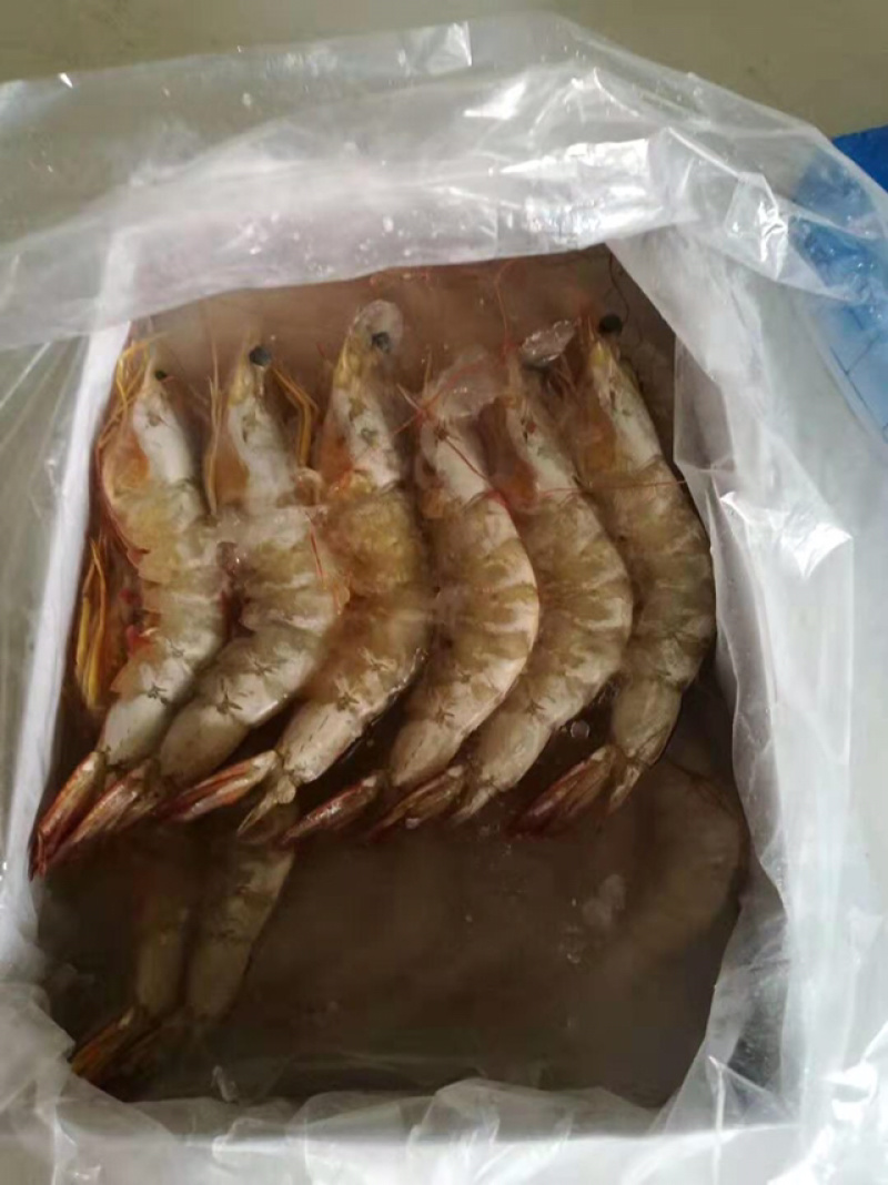 天然海白虾