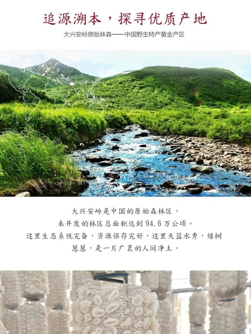 大兴安岭白玉木耳一件代发