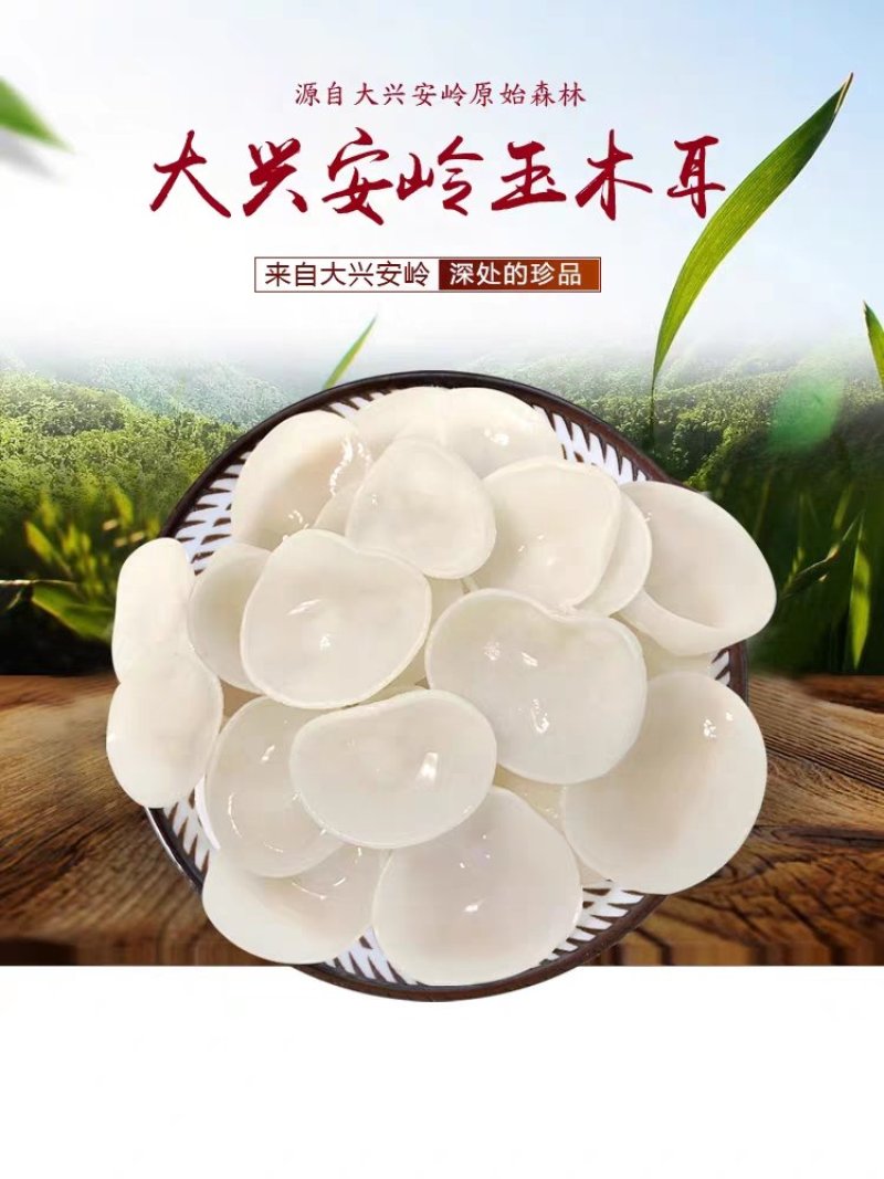 大兴安岭白玉木耳一件代发