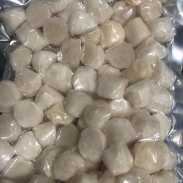 单冻扇贝柱，新鲜海鲜水产大瑶柱贝柱，元贝，鲜贝
