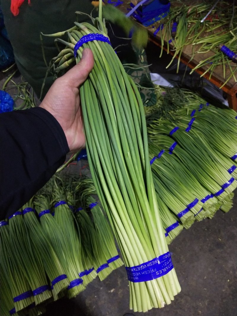 （精品）精品蒜薹，质优价廉，一吨起批，需要的客户联系
