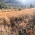 有好货：县城周边五公里26.8亩果园地菌山低价转让