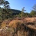 有好货：县城周边五公里26.8亩果园地菌山低价转让