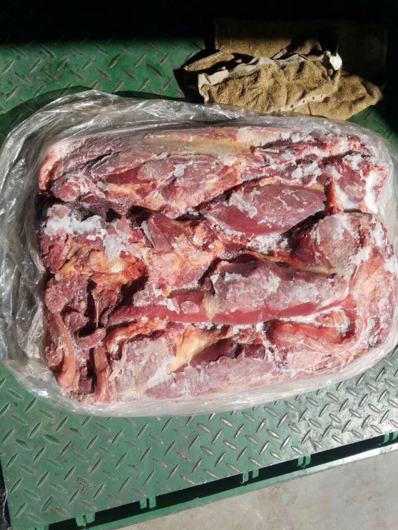 蒙古马肉