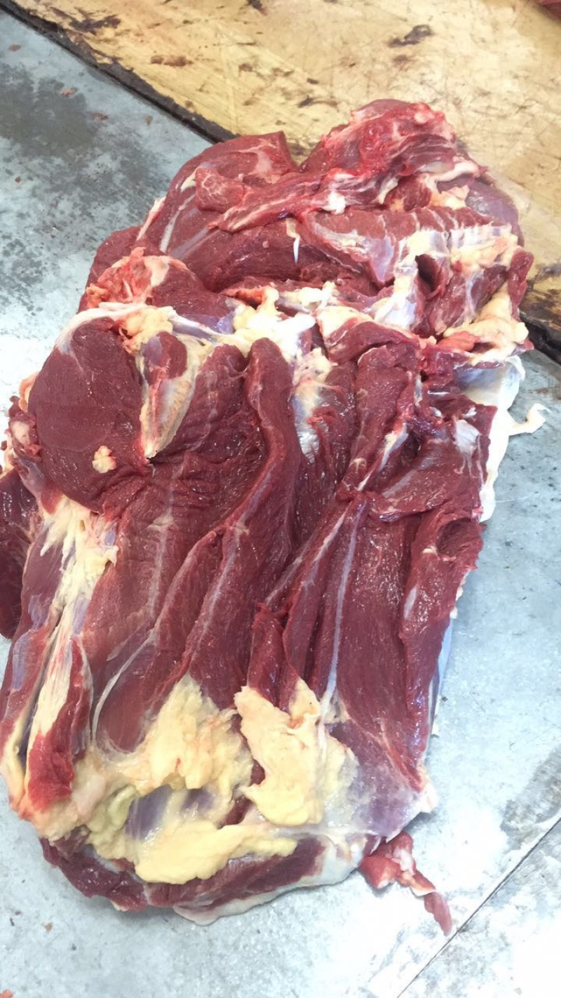 蒙古马肉
