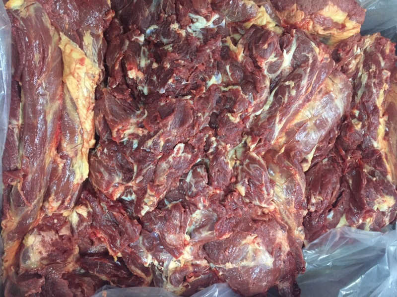 蒙古马肉